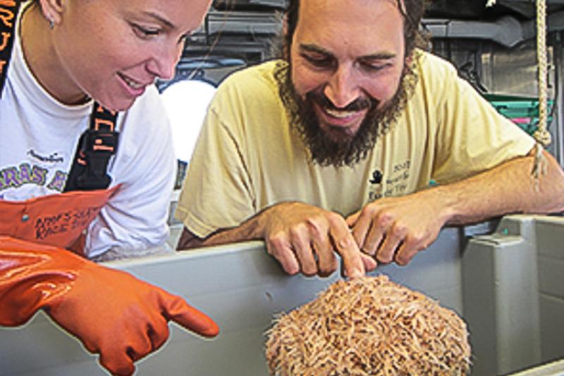 Two scientists pointing at krill in a bucket