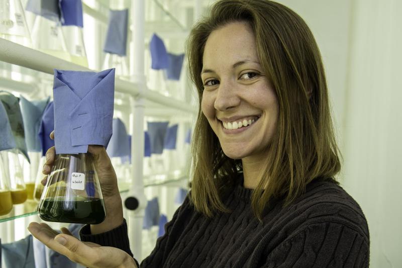 Milford collection of algae cultures, Lisa is showing one beaker of green algae.