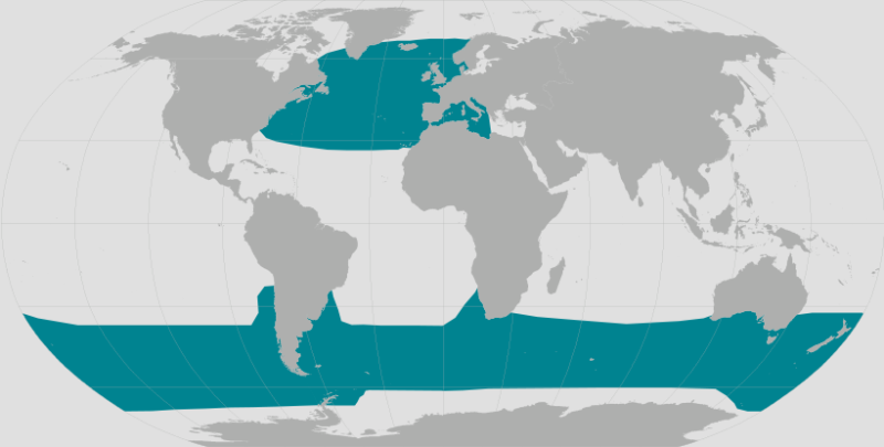 Long-finned Pilot Whale Range.png