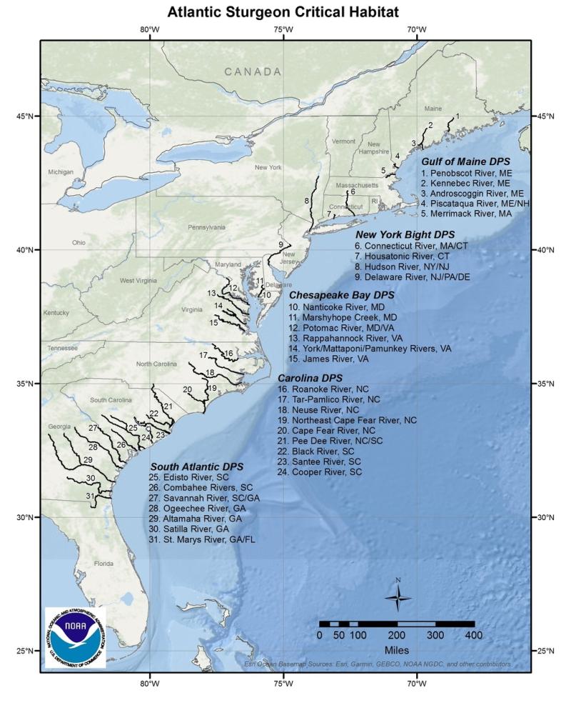 map-Atlantic-sturgeon-critical-habitat-GARFO-SERO.jpg