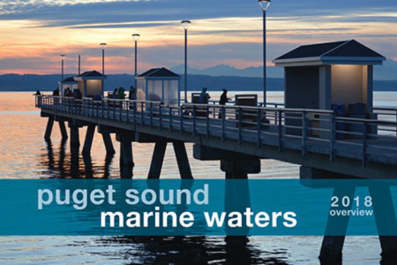 Marine Waters 2018 Cover thumbnail.jpg