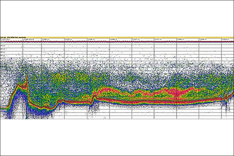 Echogram showing a scan of the ocean, the red line represents the sea floor and the green scattering represents pre-spawning Pollock