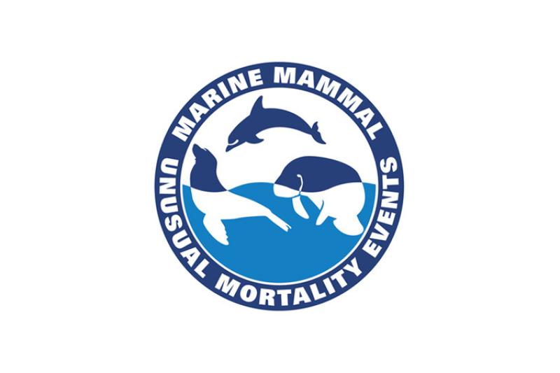 marine mammal unusual mortality events logo