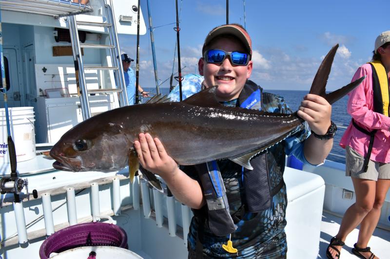 Greater amberjack