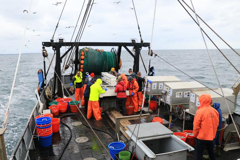 Stern of vessel with many individuals in foul weather gear working together. Net is on coil. 