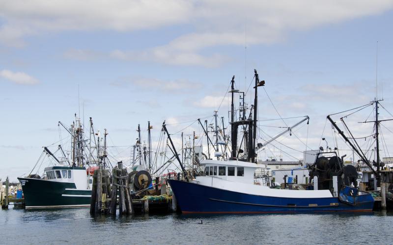 Northeast fishing boats