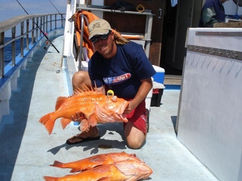 Deckhand Paul Hansen displays cowcod specimens caught aboard the F/V Aggressor during the 2007 Hook and Line Survey