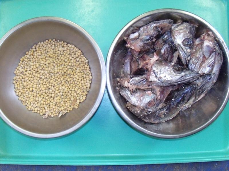 Fish feed for aquaculture can include plant-based sources well as products derived from fishery waste. Credit: NOAA Fisheries