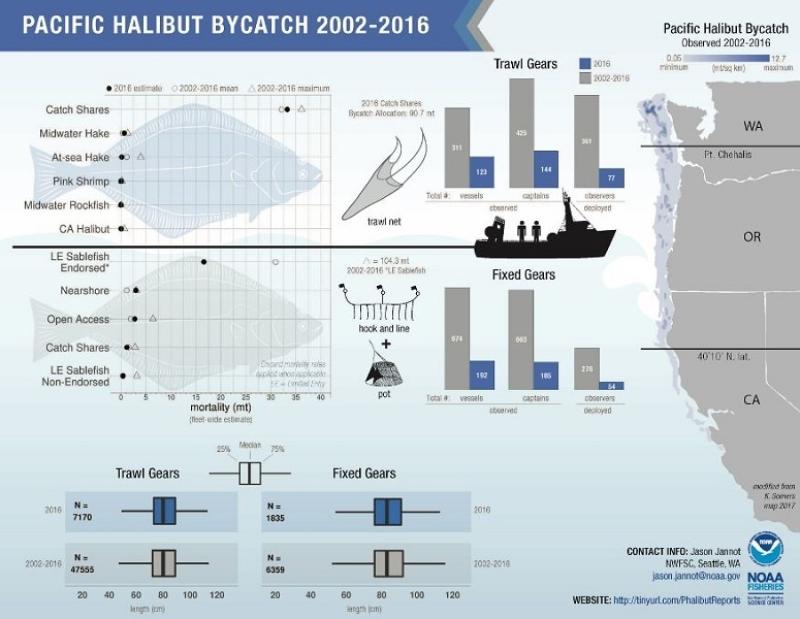 Diagram showing Pacific Halibut Bycatch in U.S. West Coast Fisheries (2002-2016).  Credit:  NOAA Fisheries