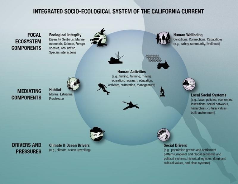 Conceptual model of the California Current social–ecological system.