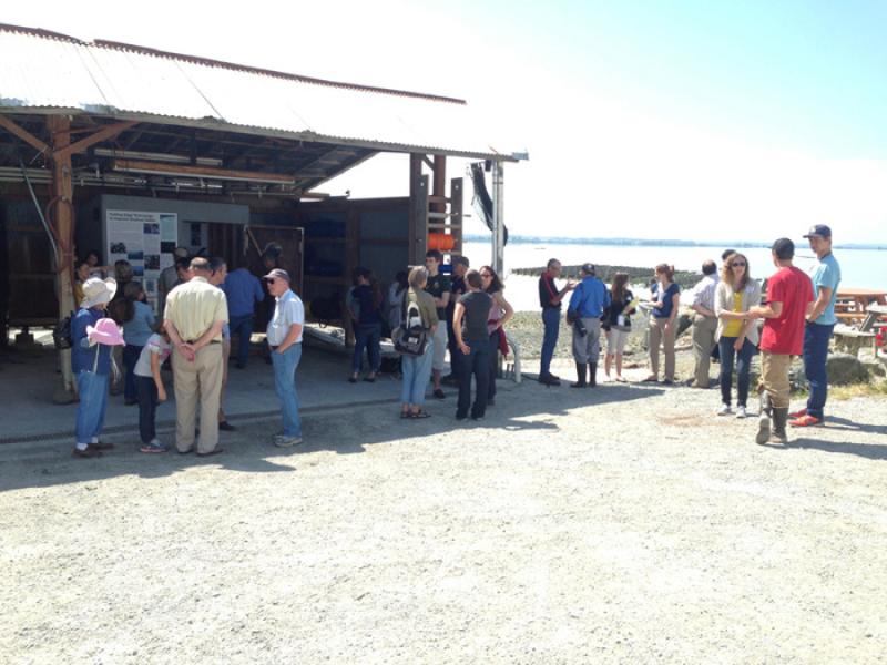 It's a beautiful day at Taylor Shellfish Farms, where NWFSC scientists, partners and the media gathered on July 18, 2013 to watch the deployment of the Environmental Sample Processor (ESP) in Puget Sound. 