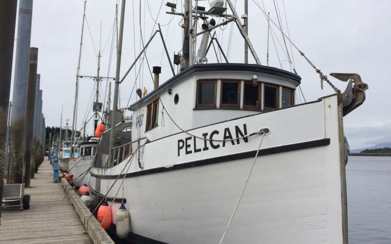 Pelican-Vessel-Crop-LAMP-case-OLE.jpg