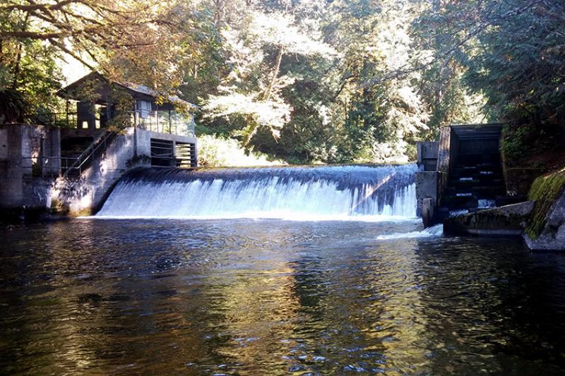 Pilchuck Dam Removal_RCO_TulalipTribe_Dam and fish ladder_750x500.jpg