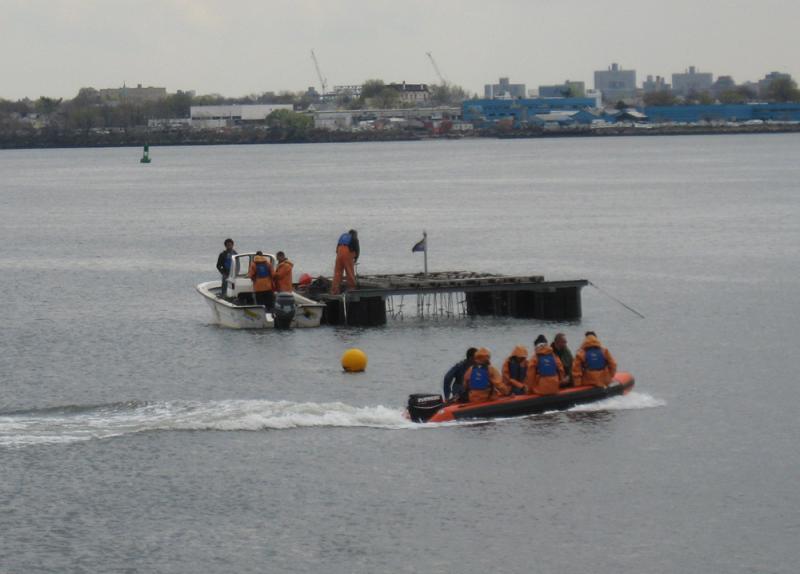 Mussell raft, with zodiac filled with people heading towards it.