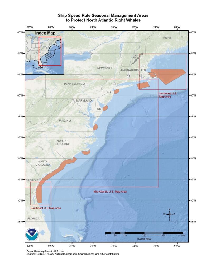 right-whale-SMAs-overview.jpg right-whale-SMAs-overview.jpg