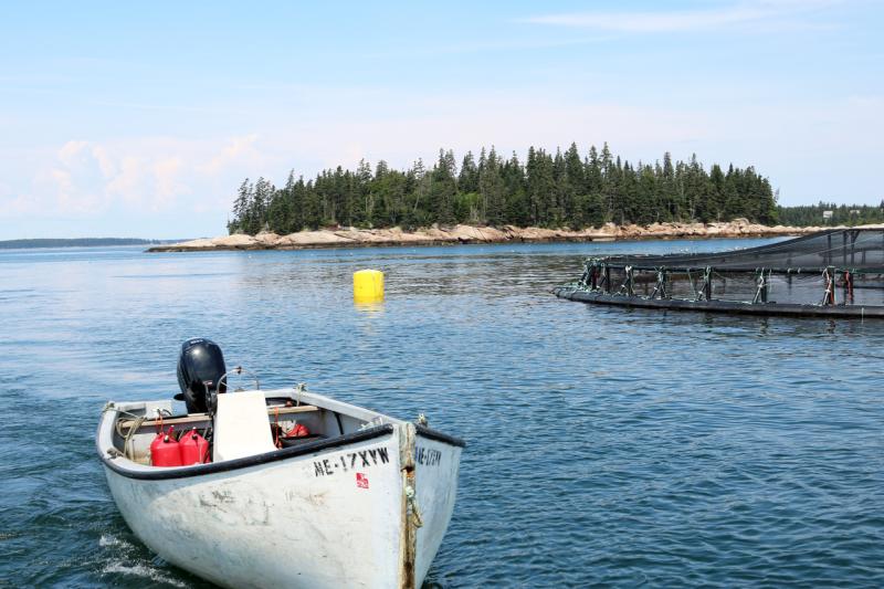 Salmon Netpen.jpg