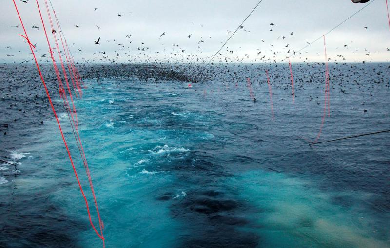 streamer lines on nets deterring seabirds behind commercial fishing vessel