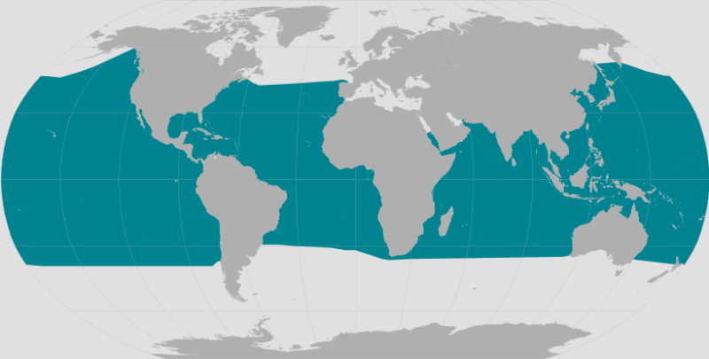Short-finned Pilot Whale Range.png