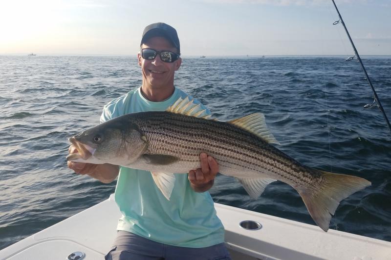 Striped hot sale bass fishing