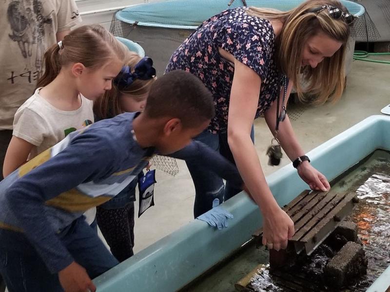 Women and children around the touchtank at the Woods Hole aquarium.