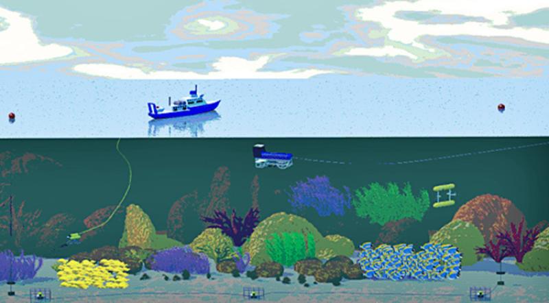 Untrawlable_Habitat-fig2.jpg