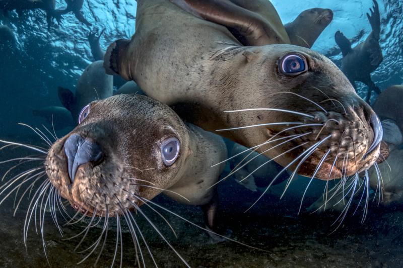 westcoast_new_oceanographic_insight.jpg