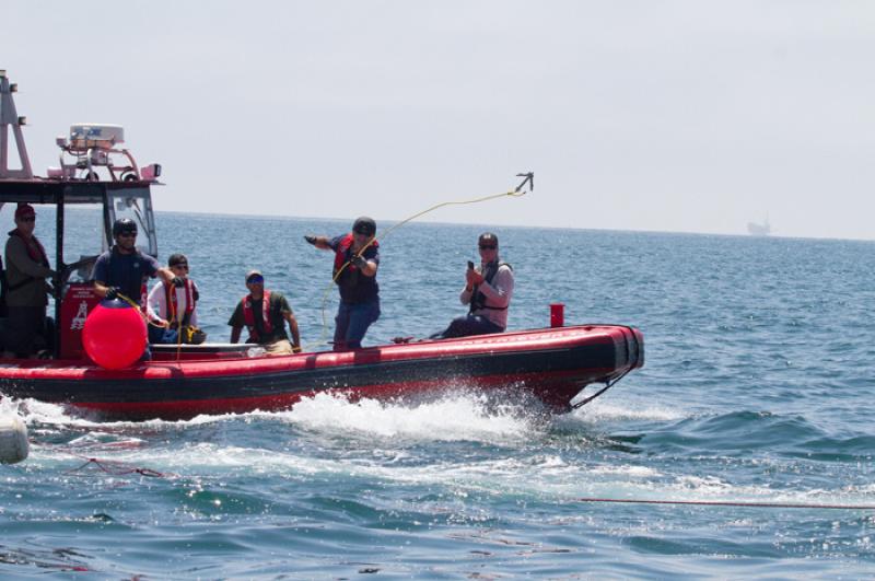 whale_disentanglement_training_02.jpg