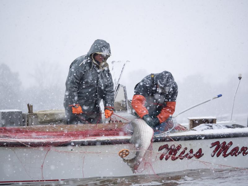 Winter-rockfishing.jpg