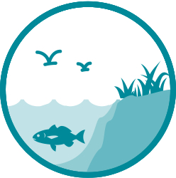 Icon showing a fish swimming next to the shore.
