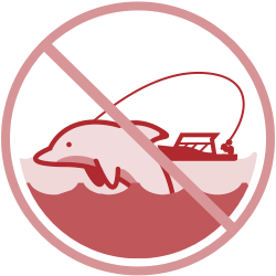 Icon with a fishing boat in background and a fishing line extending from the boat to a dolphin in the foreground