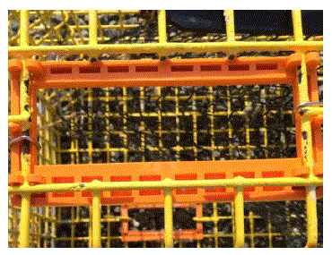 Close-up photo of a rectangular escape vent on a lobster trap.