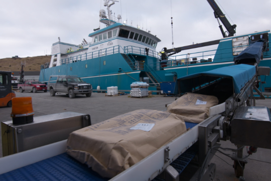 Offloading frozen Pacific cod from a catcher-processor vessel in Dutch Harbor, Alaska.