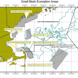 Small mesh exemption areas map